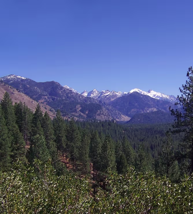 Government sector illustration