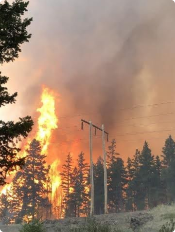 Photo or illustration used on the Forsite website