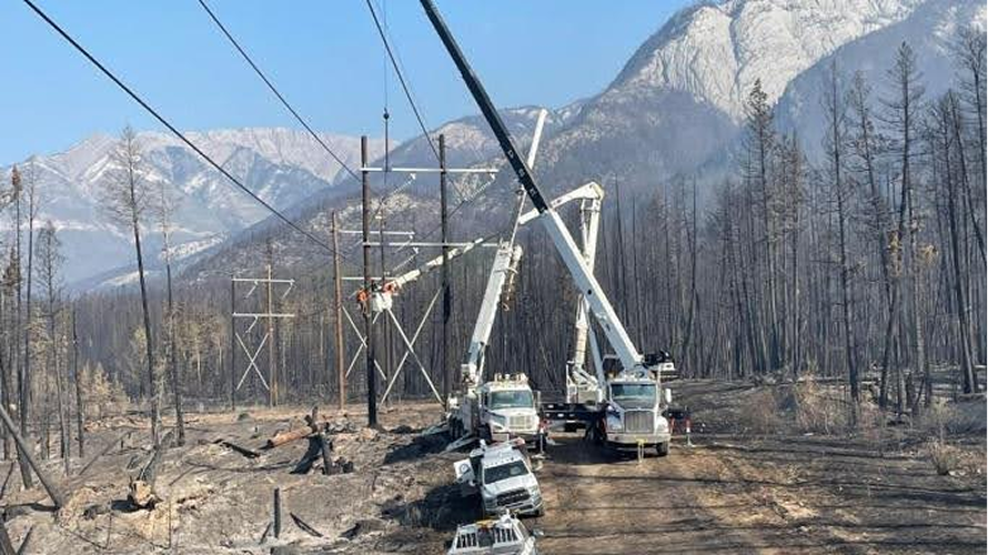 Photo or illustration used on the Forsite website