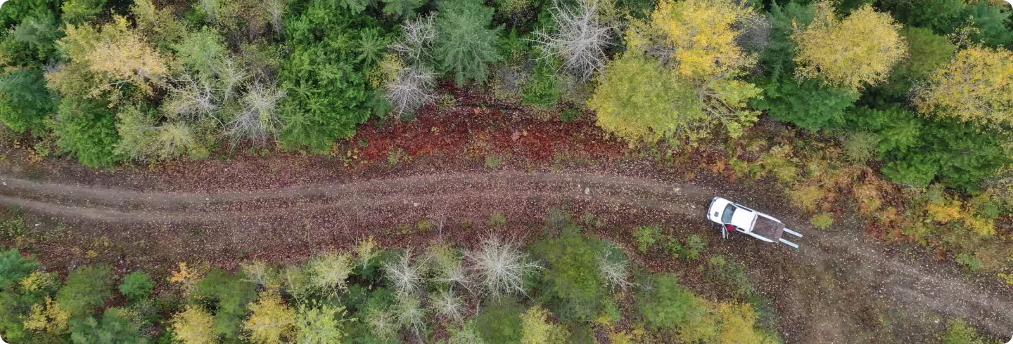 Stewardship photo related to Forsite services