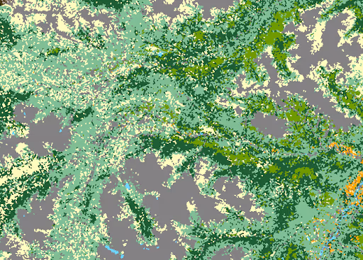Fuel characterization