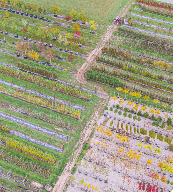 Vegetation analytics forsite