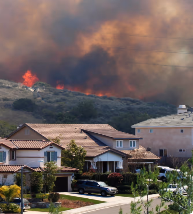 Insurance — photograph related to Forsite services