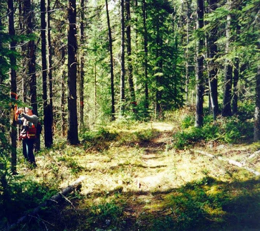 Photo or illustration used on the Forsite website