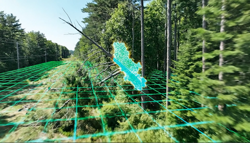 Vegetation analytics integration RisView