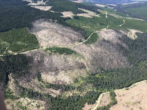 Climate — photograph related to Forsite services