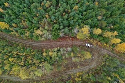 Economic — photograph related to Forsite services