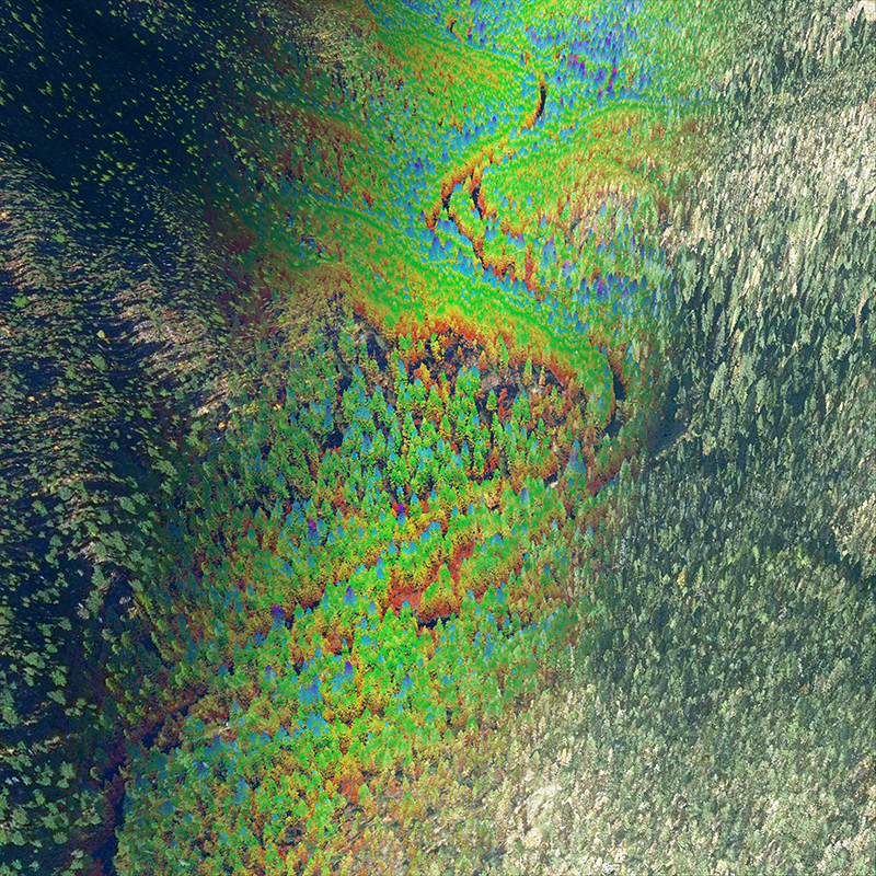 HAG Rainbow blended small