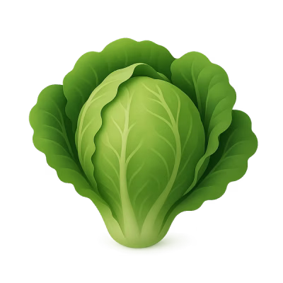 Lechuga fresca con hojas verdes vibrantes.