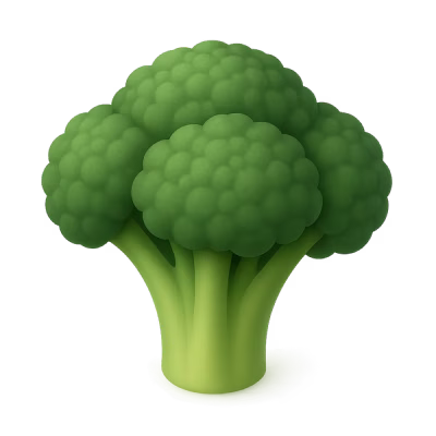 Brócoli fresco con tres cabezas verdes y tallos firmes.