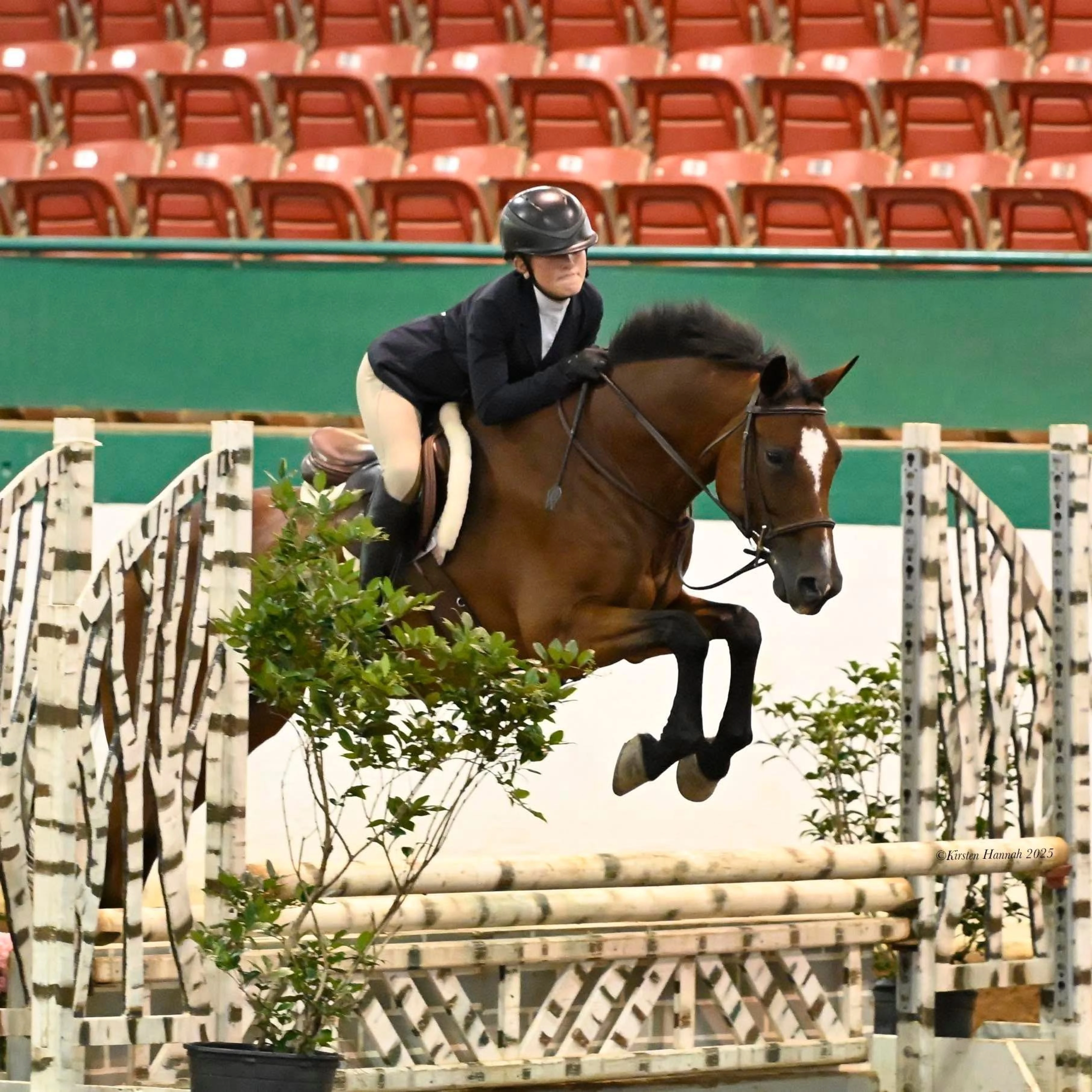 Equestrian rider in black helmet and jacket jumping over an obstacle on a brown horse in an indoor arena.