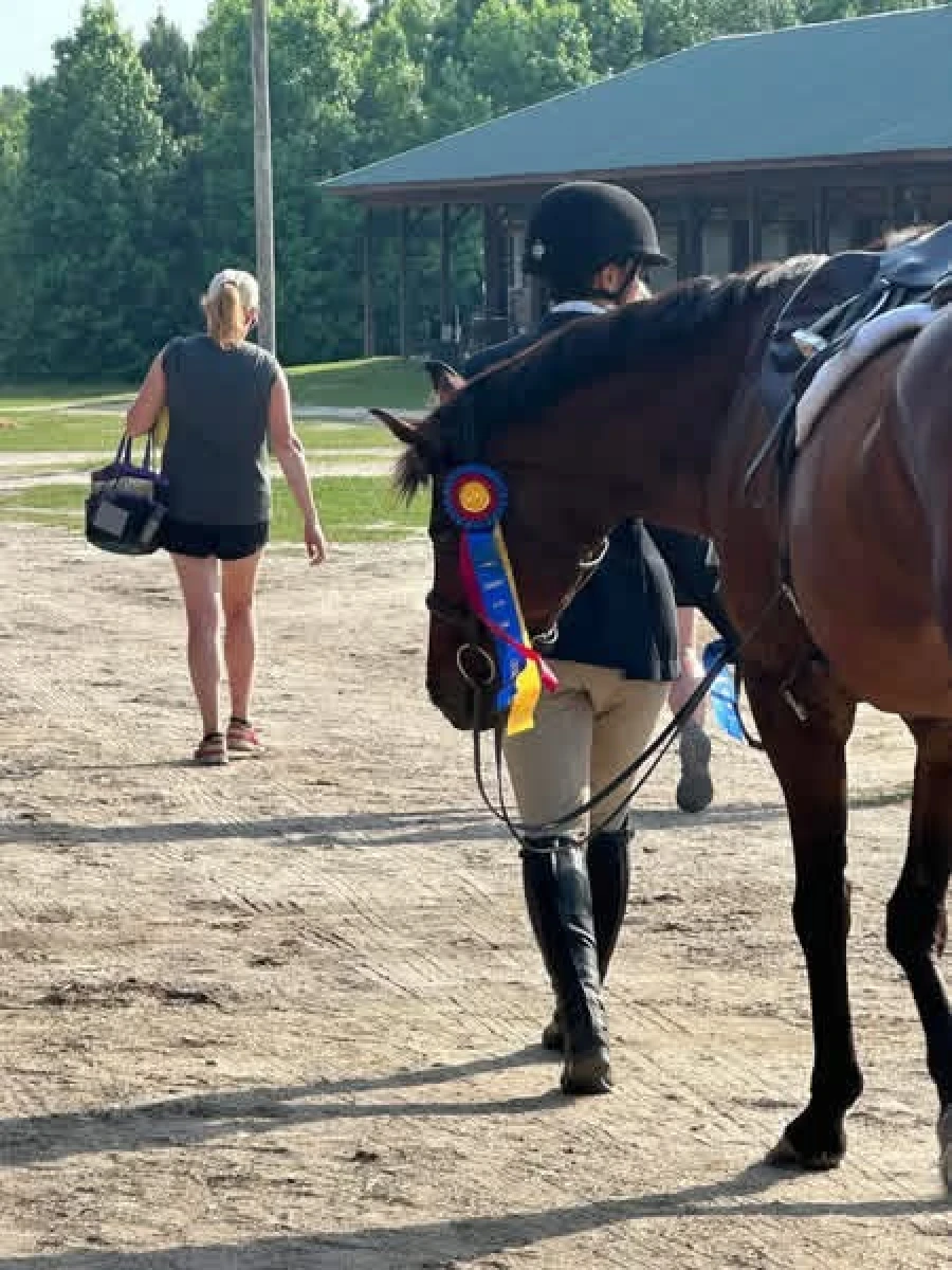Rider in equestrian attire walking a brown horse with a blue and yellow ribbon attached to its bridle, while a woman carrying a bag walks ahead.