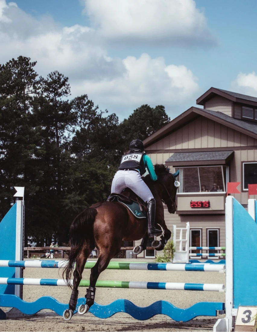Equestrian rider wearing number 058 jumps a brown horse over a blue and white obstacle in an outdoor arena.
