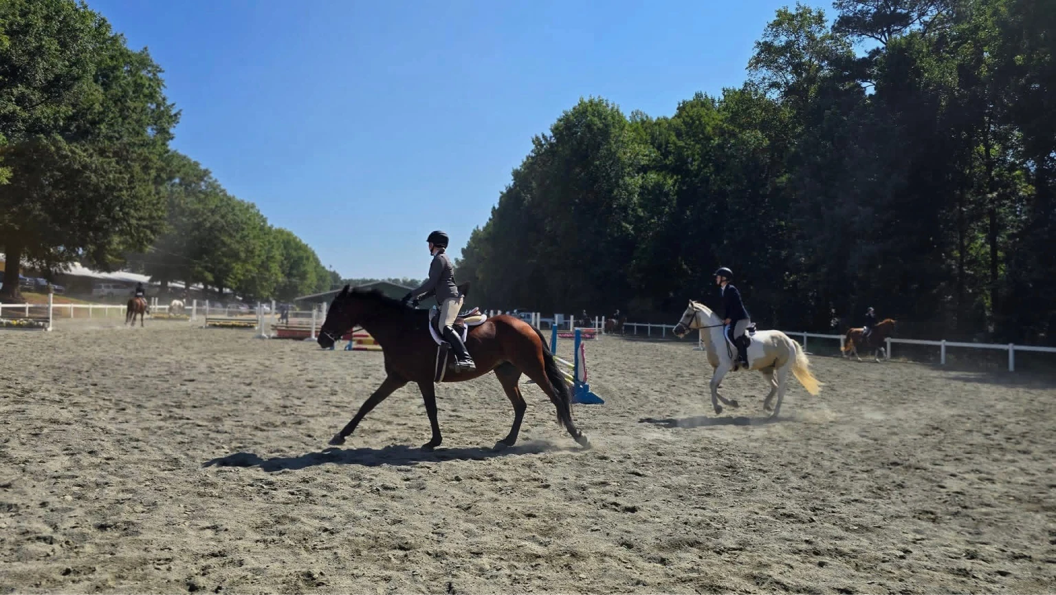 Two people wearing helmets riding horses on a sandy equestrian arena with trees and blue sky in the background.