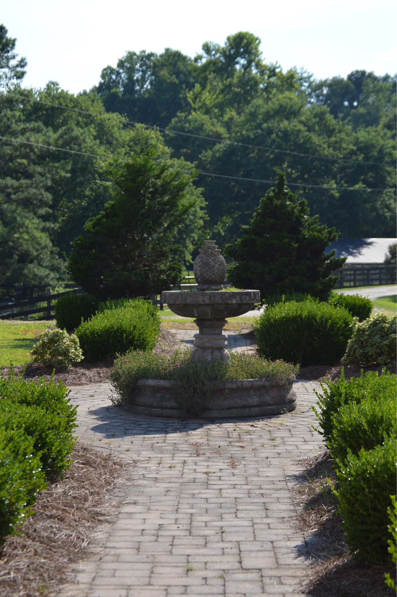 Stone fountain with a pineapple ornament surrounded by green shrubs on a brick pathway in a garden.