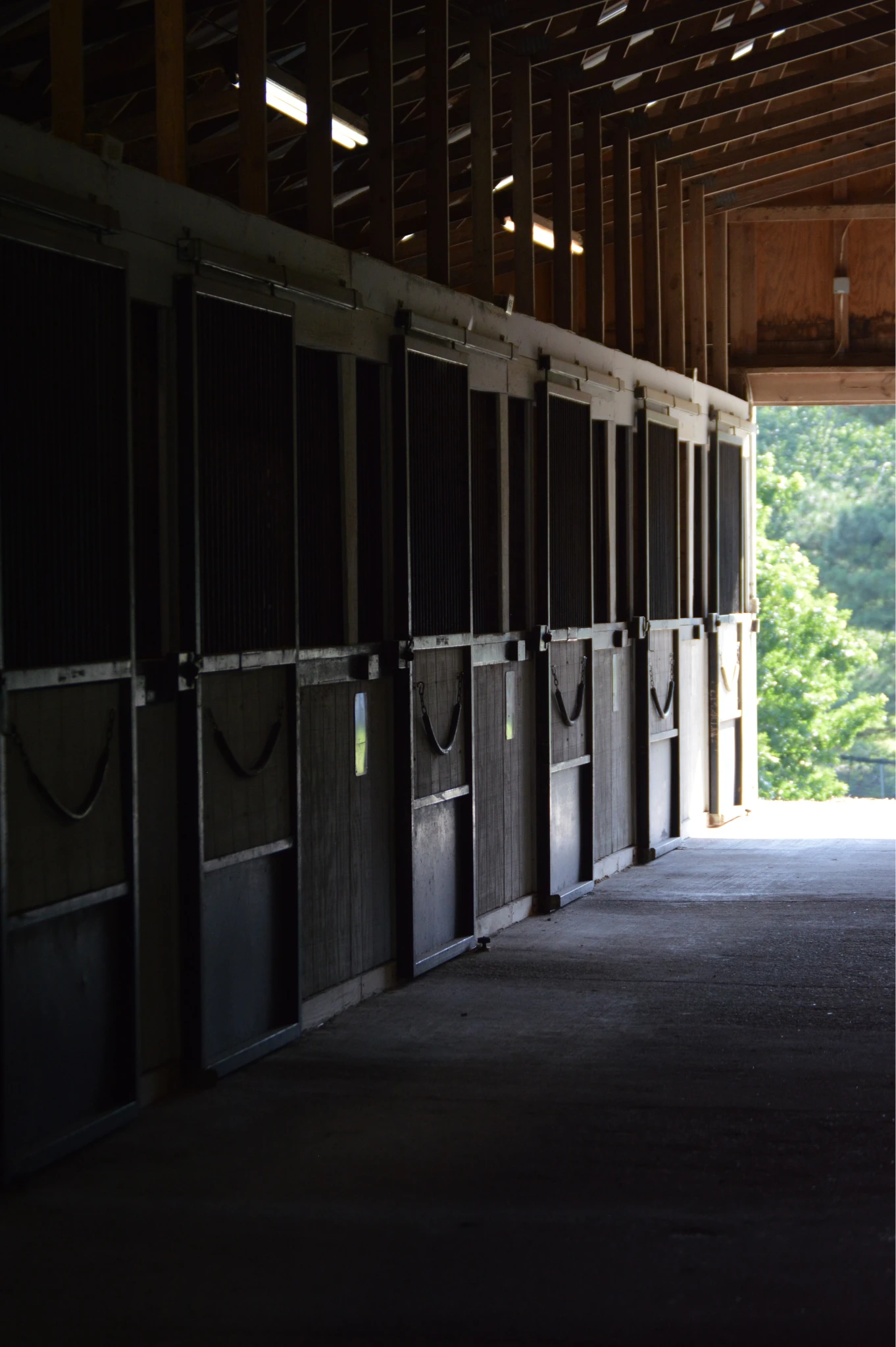 Dimly lit row of empty horse stable stalls with open barn door showing green trees outside.