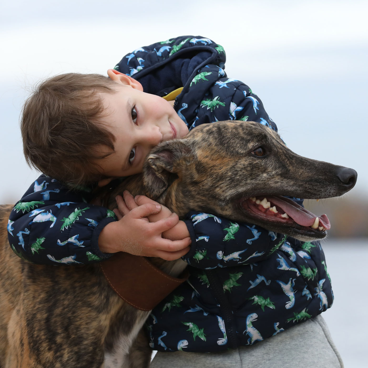 Man with greyhound