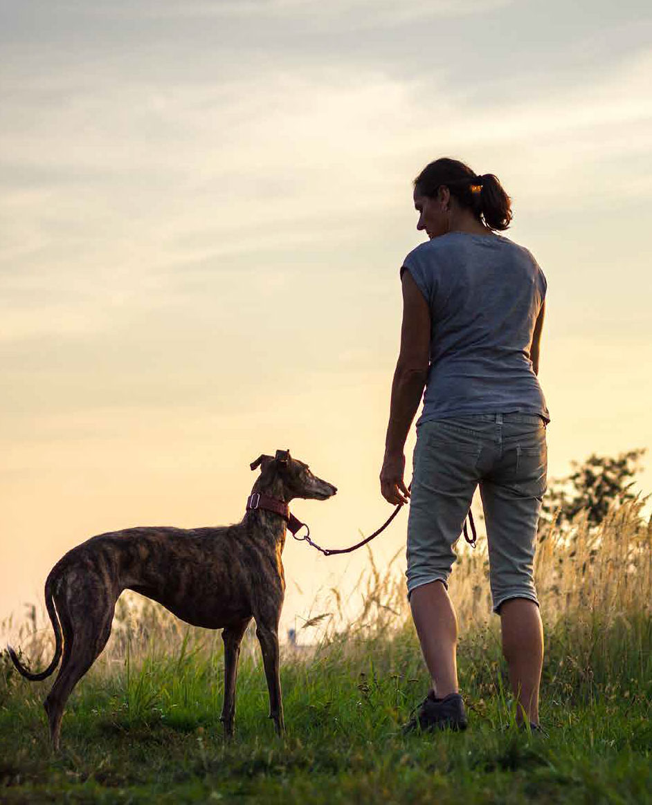 Man with greyhound