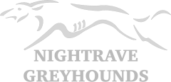 Nightrave Greyhounds