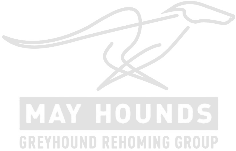 May Hounds Greyhound Rehoming Group