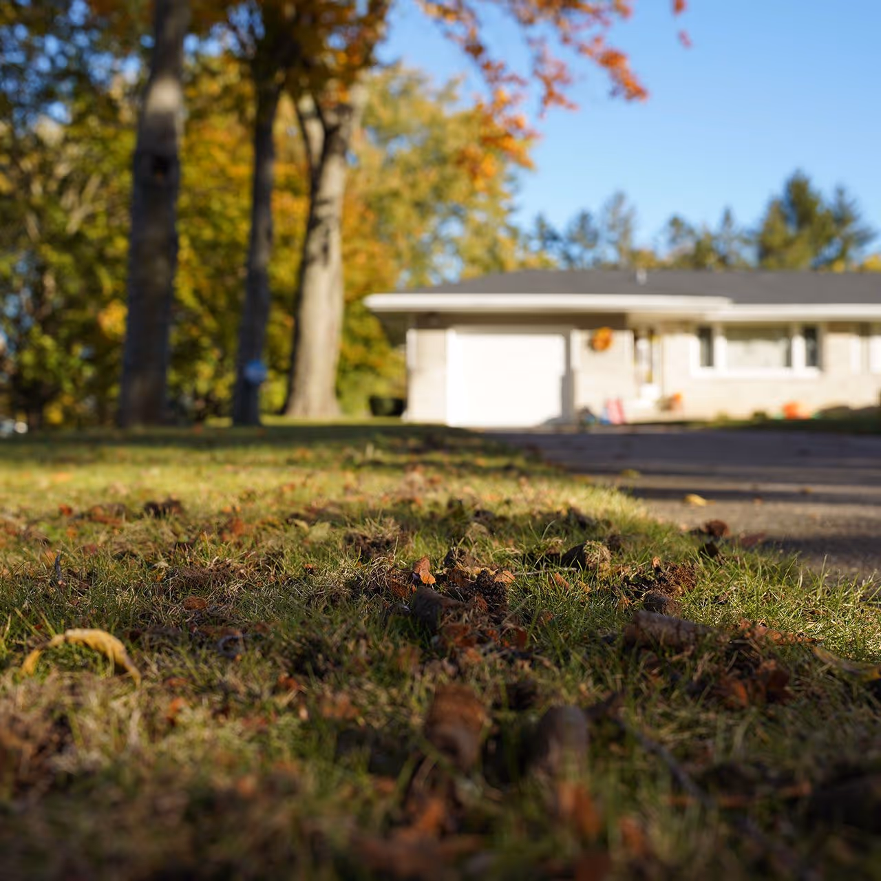 professional core aeration by jem lawn care for healthy lawns