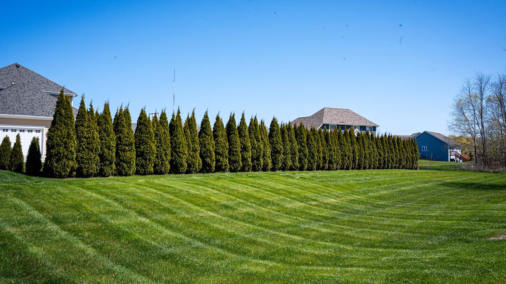 core aeration services near me to improve soil health and lawn growth