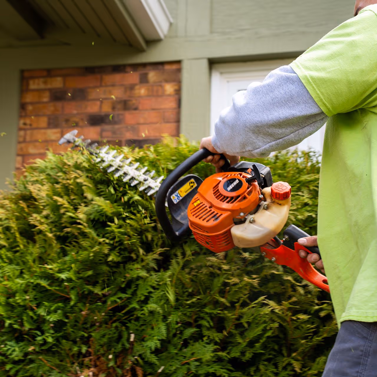 professional bush and shrub trimming services near me for clean and well maintained landscape edges