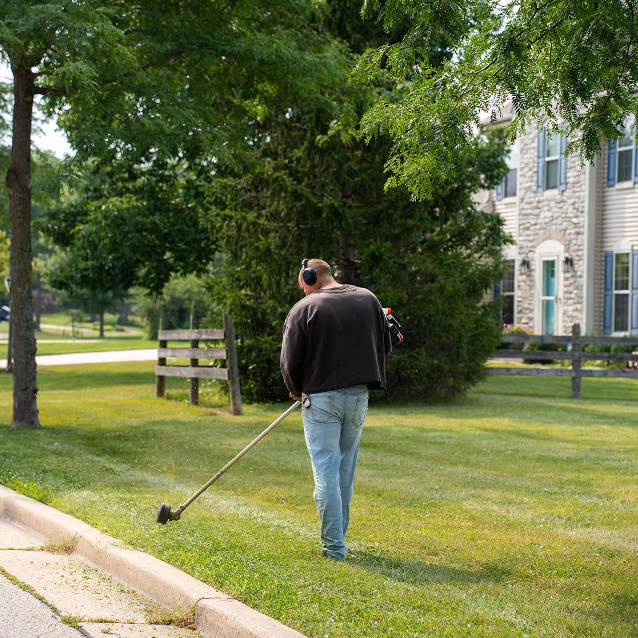 healthy green lawn after professional lawn care services
