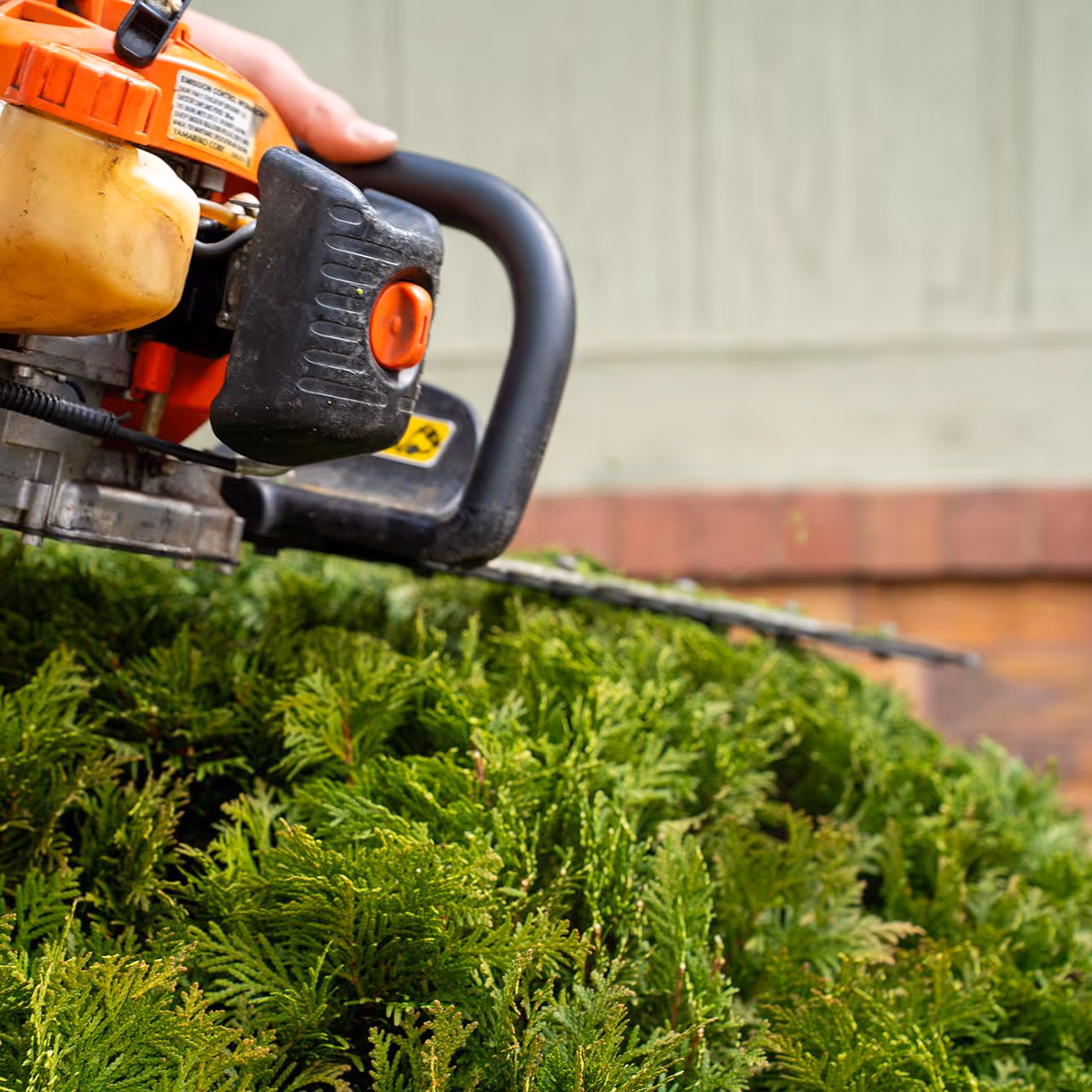 leaf removal and property cleanup services near me