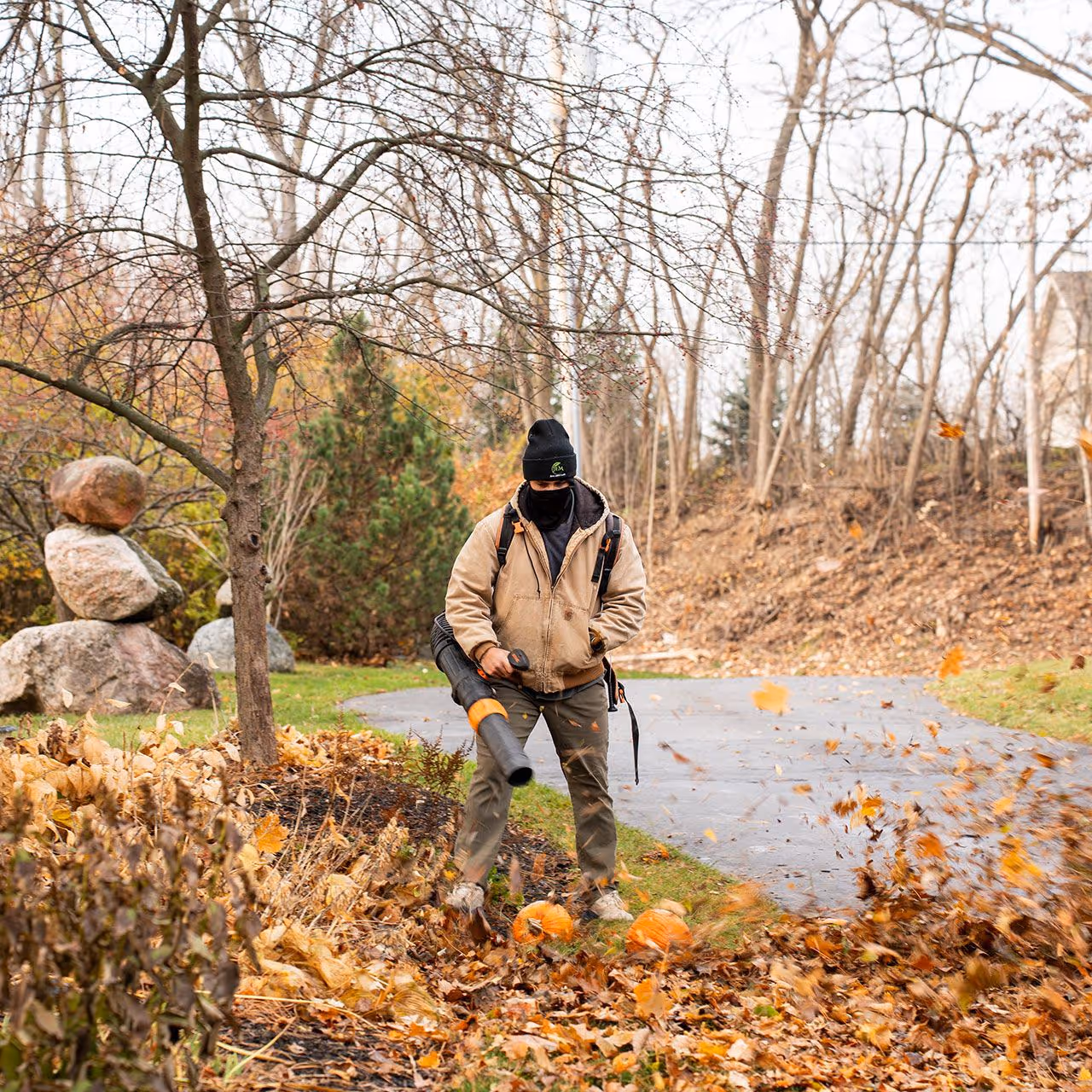 leaf removal and property cleanup services near me