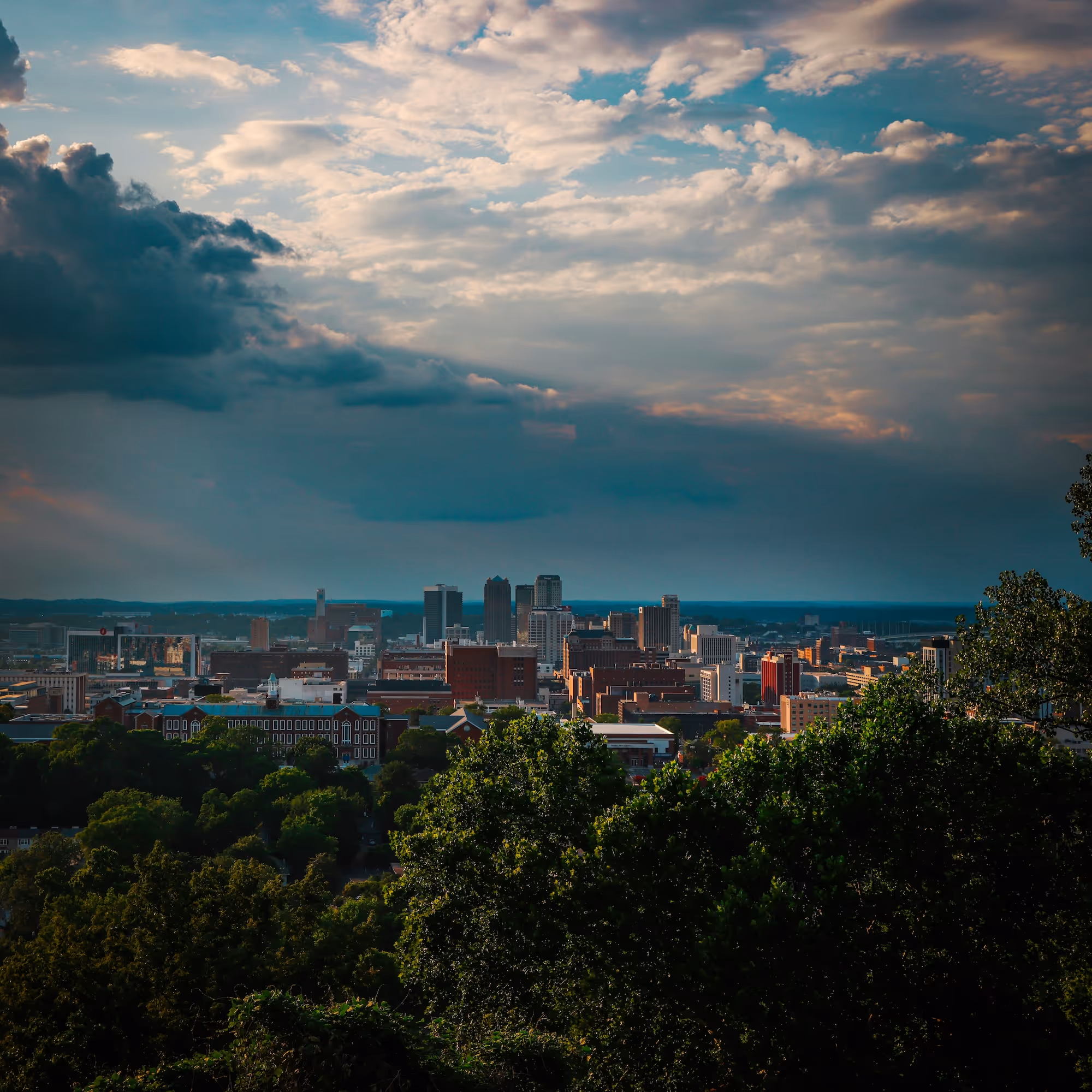 The Birmingham City skyline from a distance with trees and surrounding neighborhoods in view