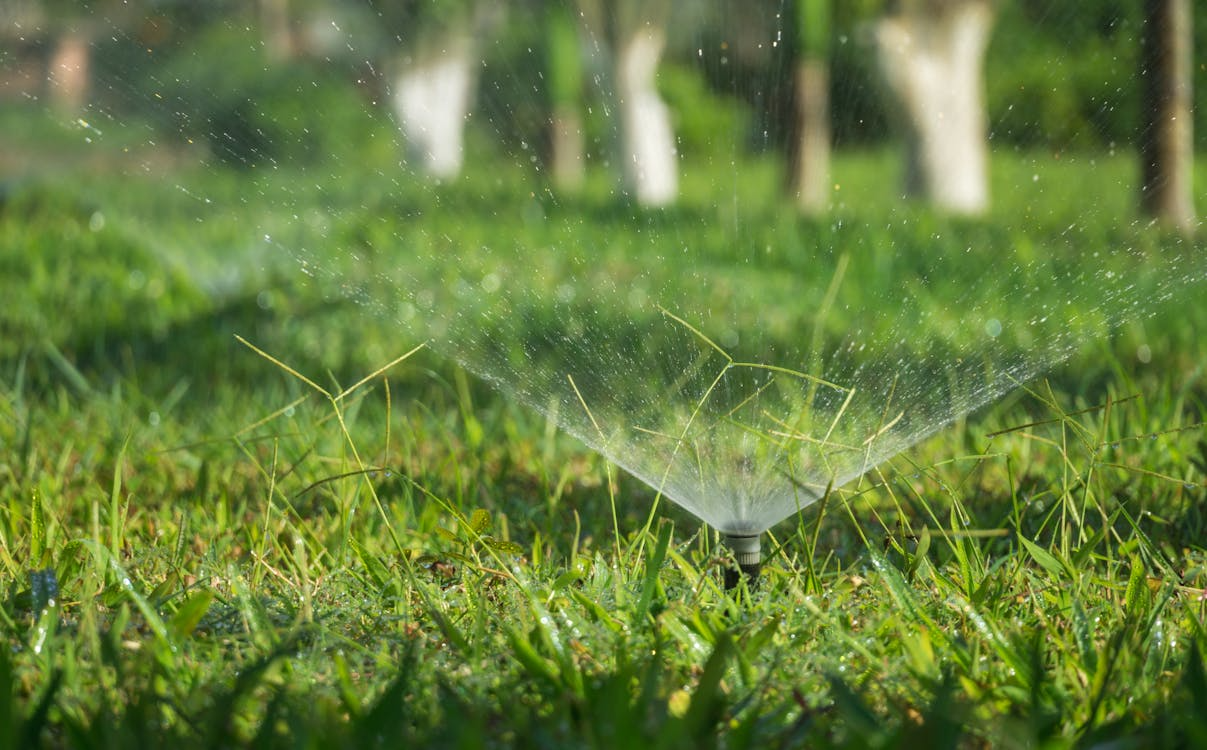 Close-up of a sprinkler watering green grass with blurred trees in the background.