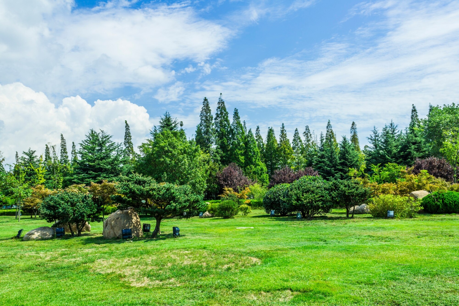 Park landscape with green grass, various trees, shrubs, and a blue sky with clouds.