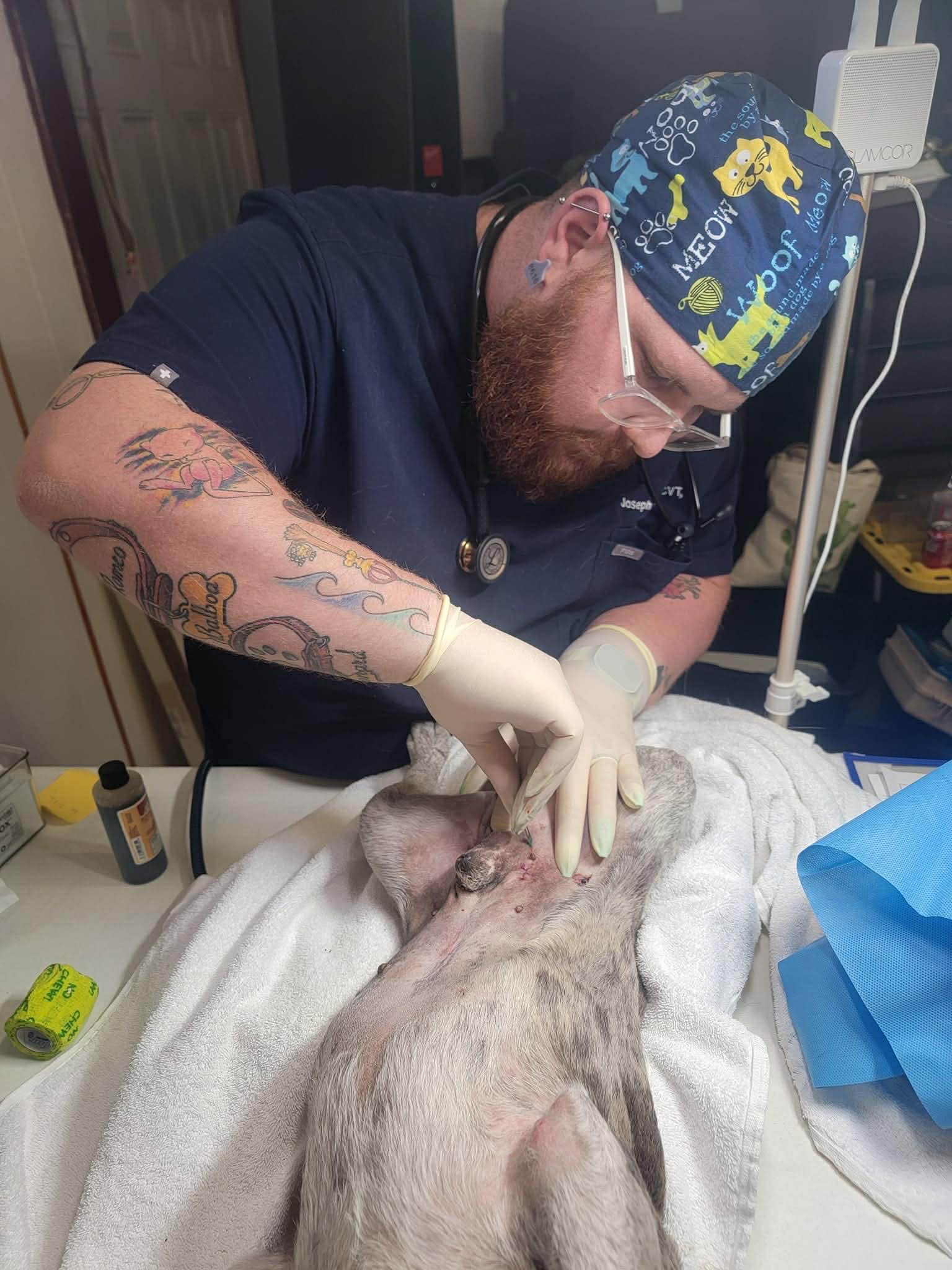 image of an educational seminar in progress (for a veterinary clinic)