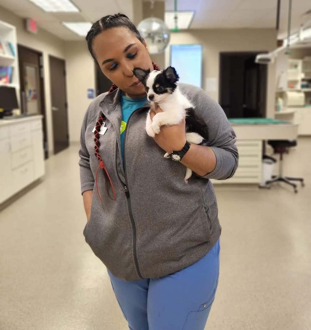 image of an educational seminar in progress (for a veterinary clinic)