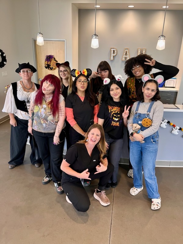 image of orthopedic surgery on a pet