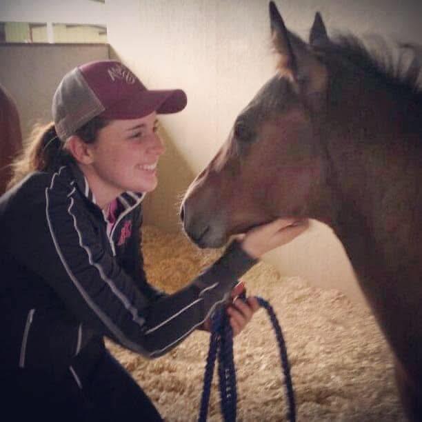 image of an educational seminar in progress (for a veterinary clinic)