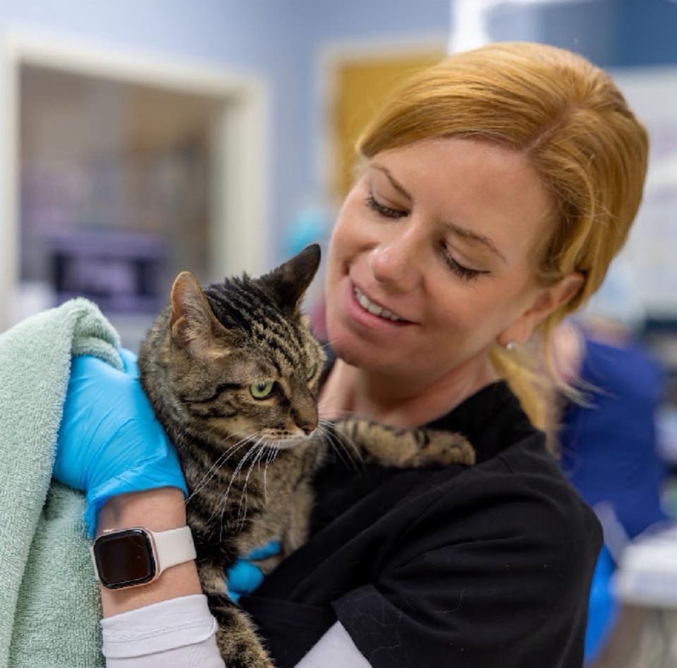 [background image] of a busy pet store environment