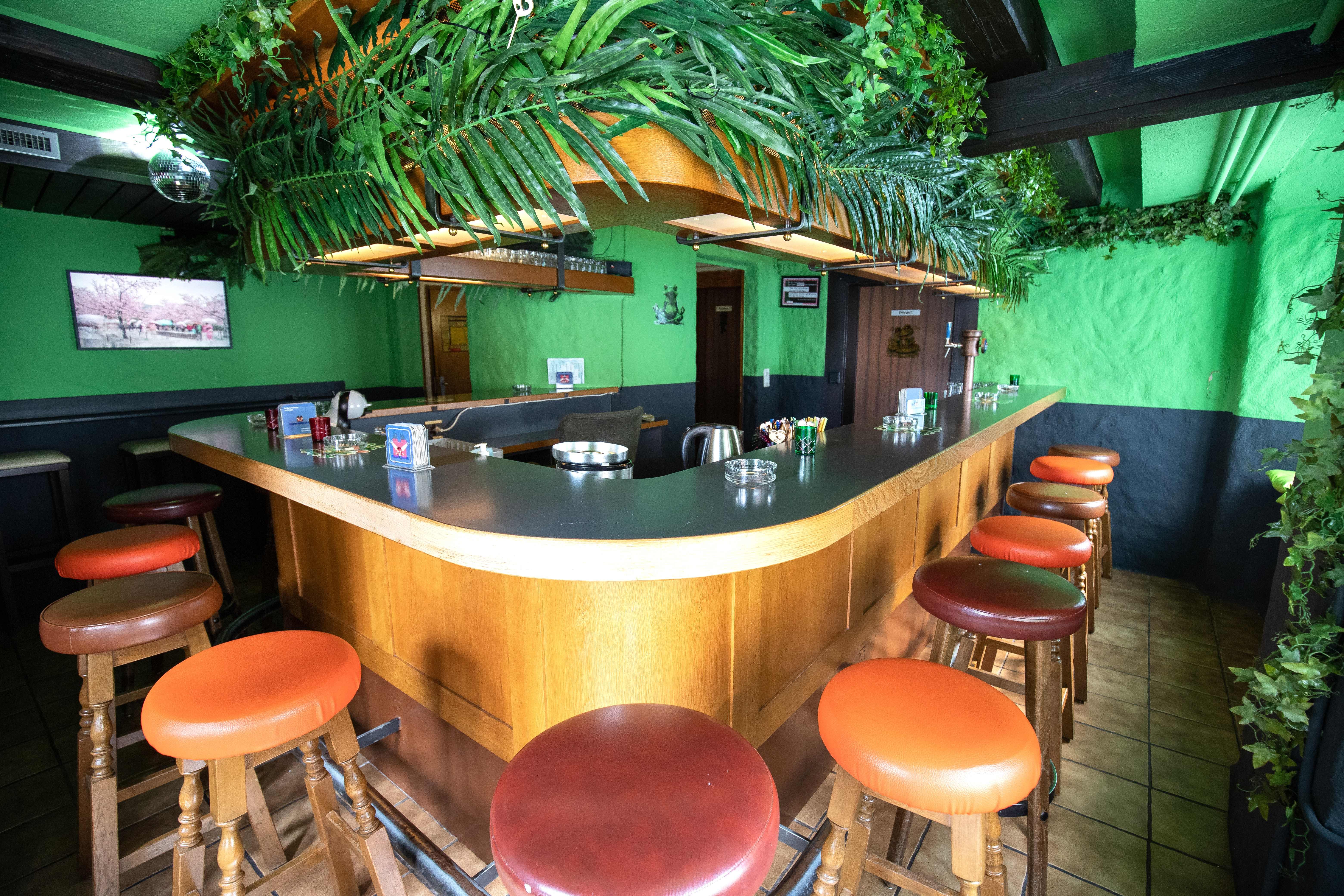 Gemütliche Bar mit grün gestrichenen Wänden, hölzerner Theke und Barhockern in Braun- und Orangetönen, dekoriert mit hängenden Farnpflanzen.