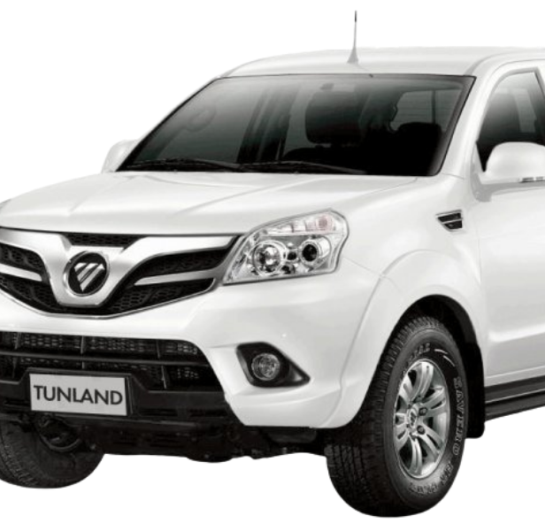 Front of GWM Ora vehicle.