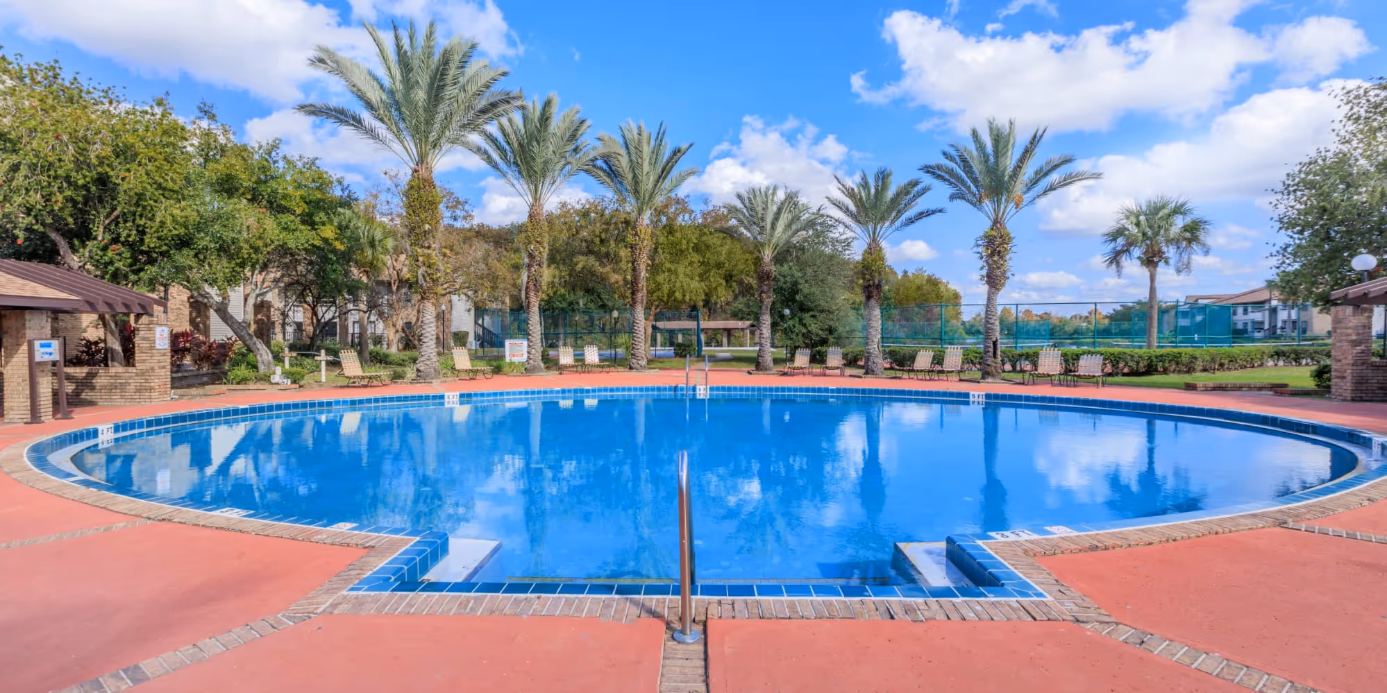 Swimming pool with palm trees