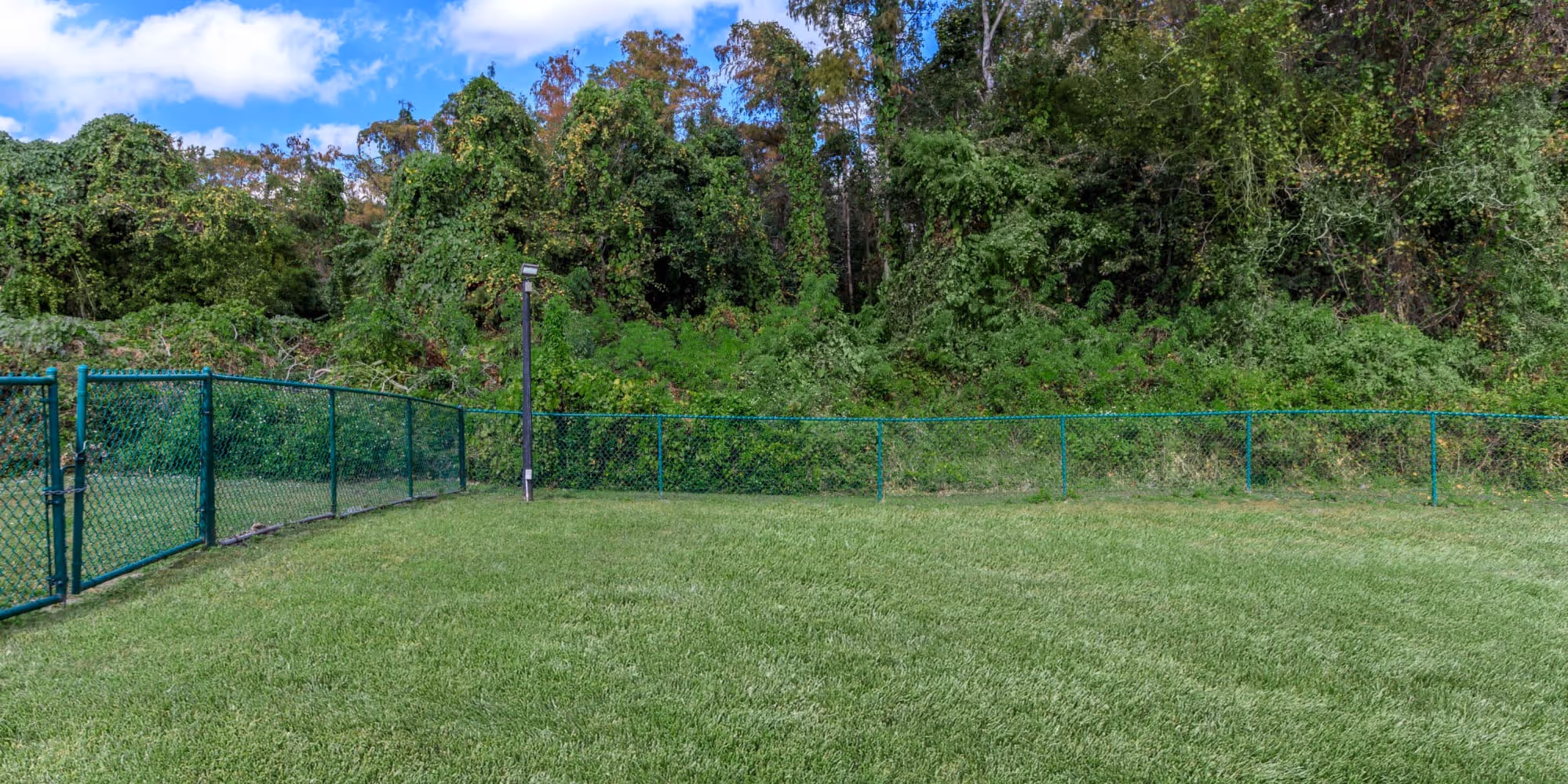 Dog park area, fenced in with grass