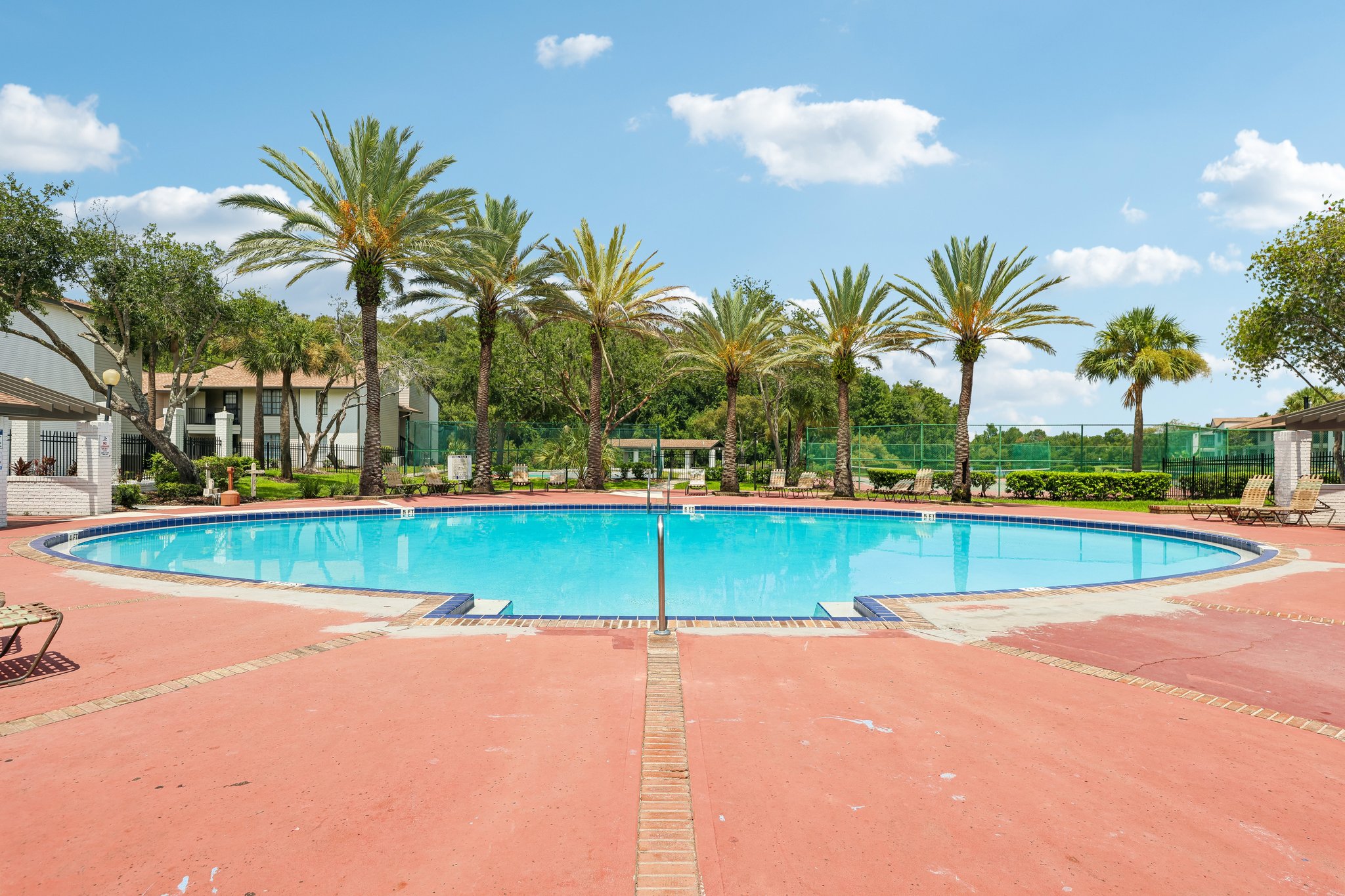 Swimming pool with trees