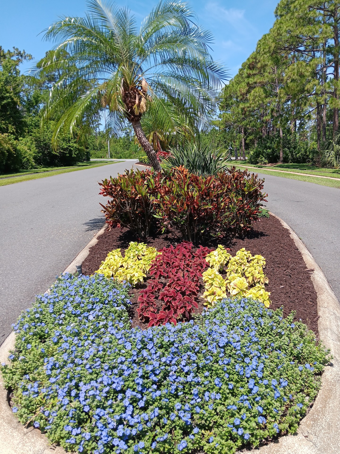 Landscaping 