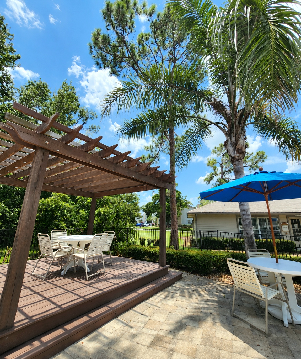 Pool area trees