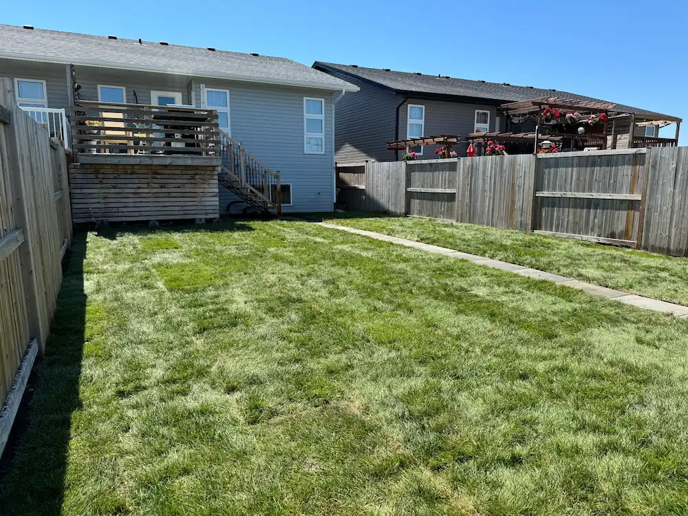 backyard fresh sod