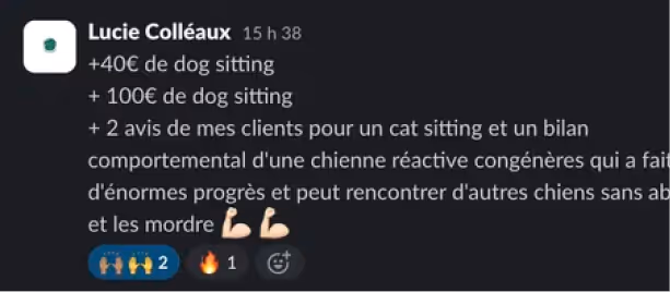 Extrait d'un commentaire en français d'une utilisatrice nommée Lucie Colléaux évoquant des gains pour du dog sitting et des avis clients positifs sur un cat sitting et un bilan comportemental d'une chienne réactive.