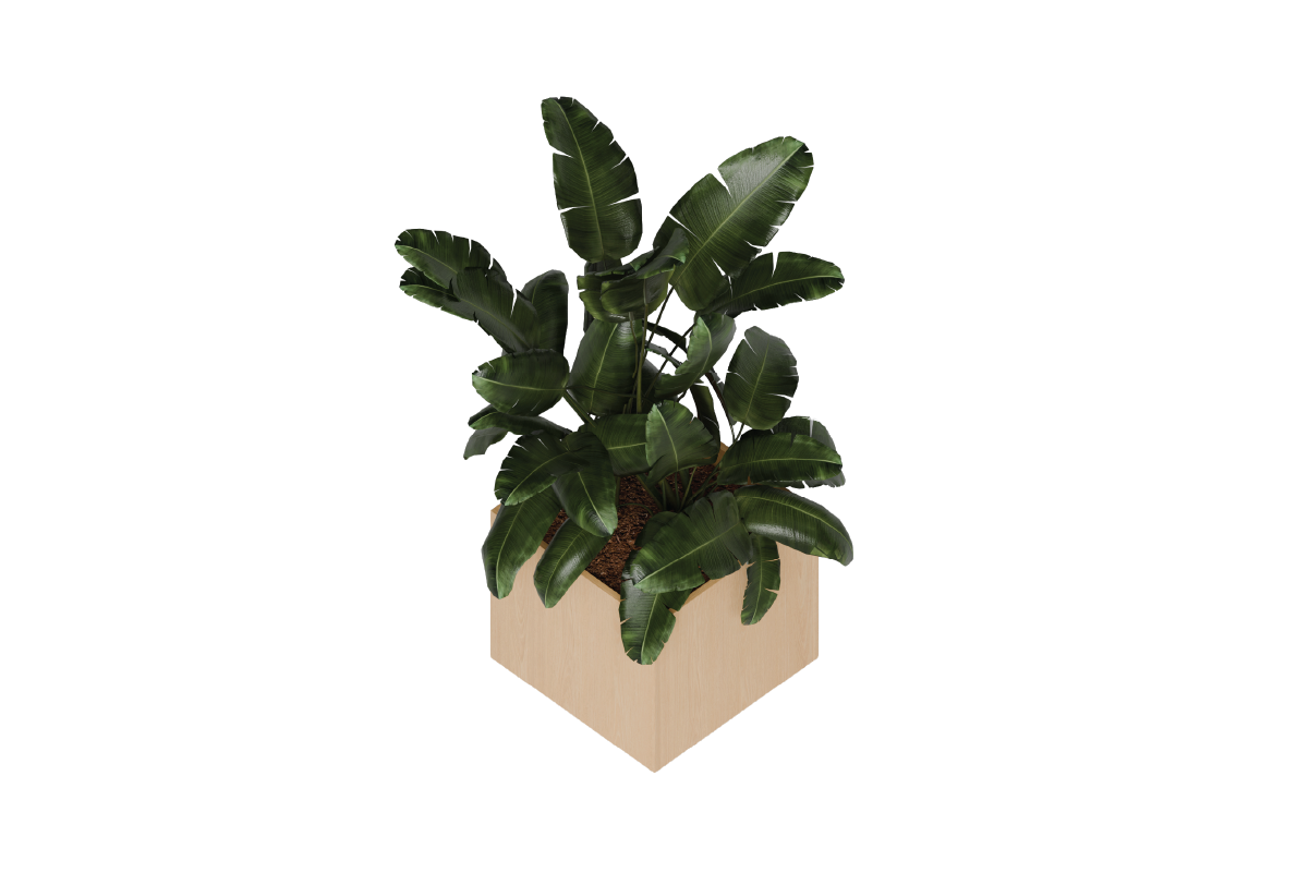 Birch Square Planter with a plant - angled view.