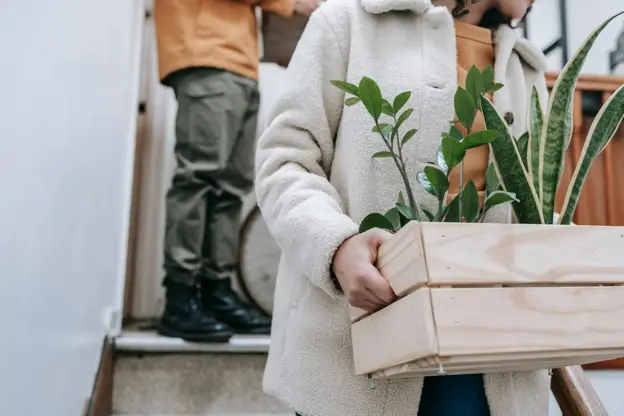 Tenant carrying a box of houseplants during a rental property move-in and move-outs.