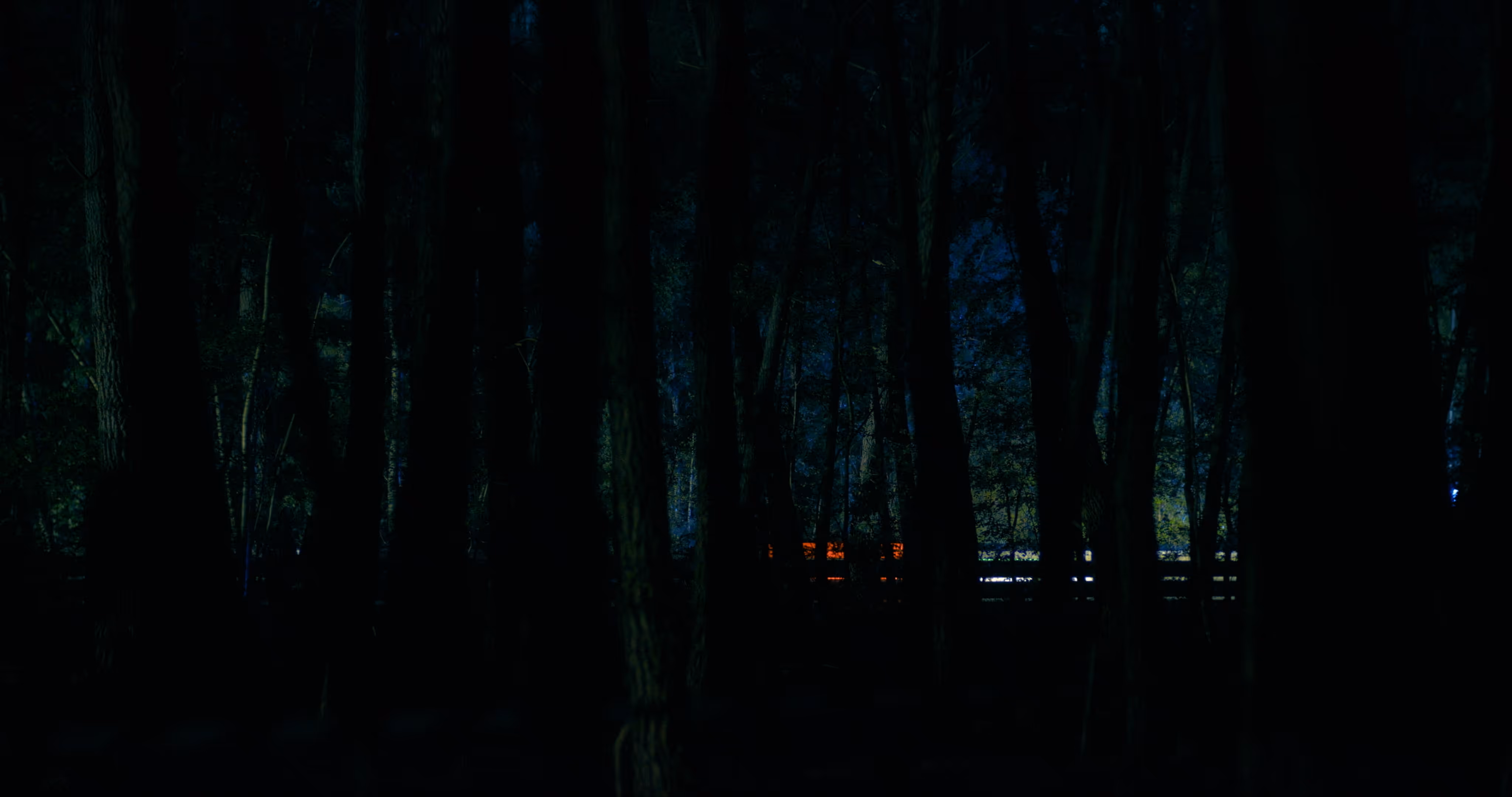 Dense dark forest at night with faint blue sky and a glowing orange light visible through the trees.